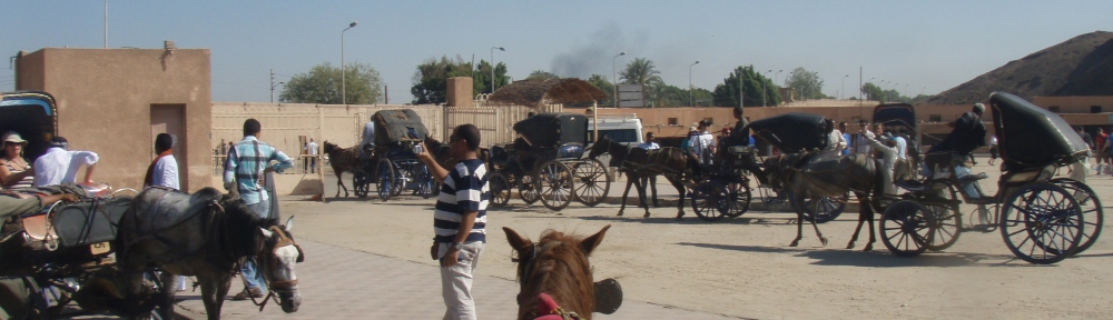 Horse and cart in Edfu